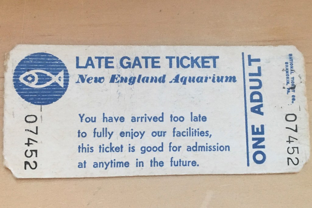 Aquarium guest gets in with ticket from 1983