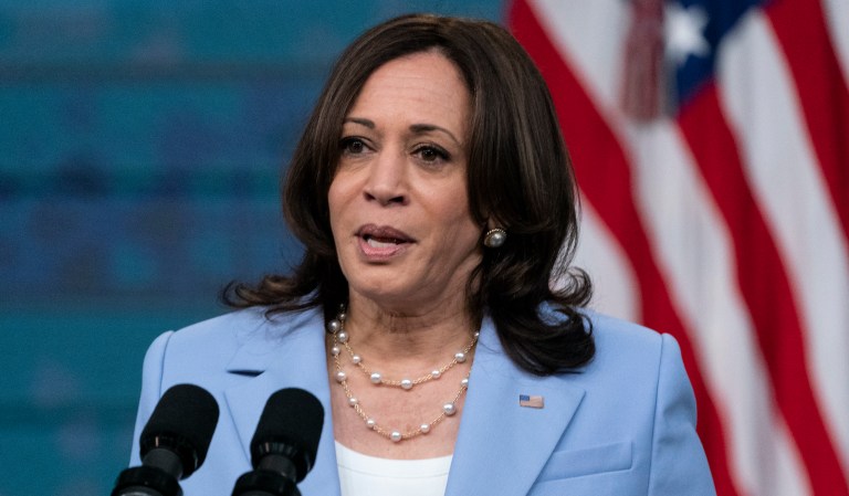 ‘She has a great, supportive team’: White House stands by Harris amid staff mutiny
