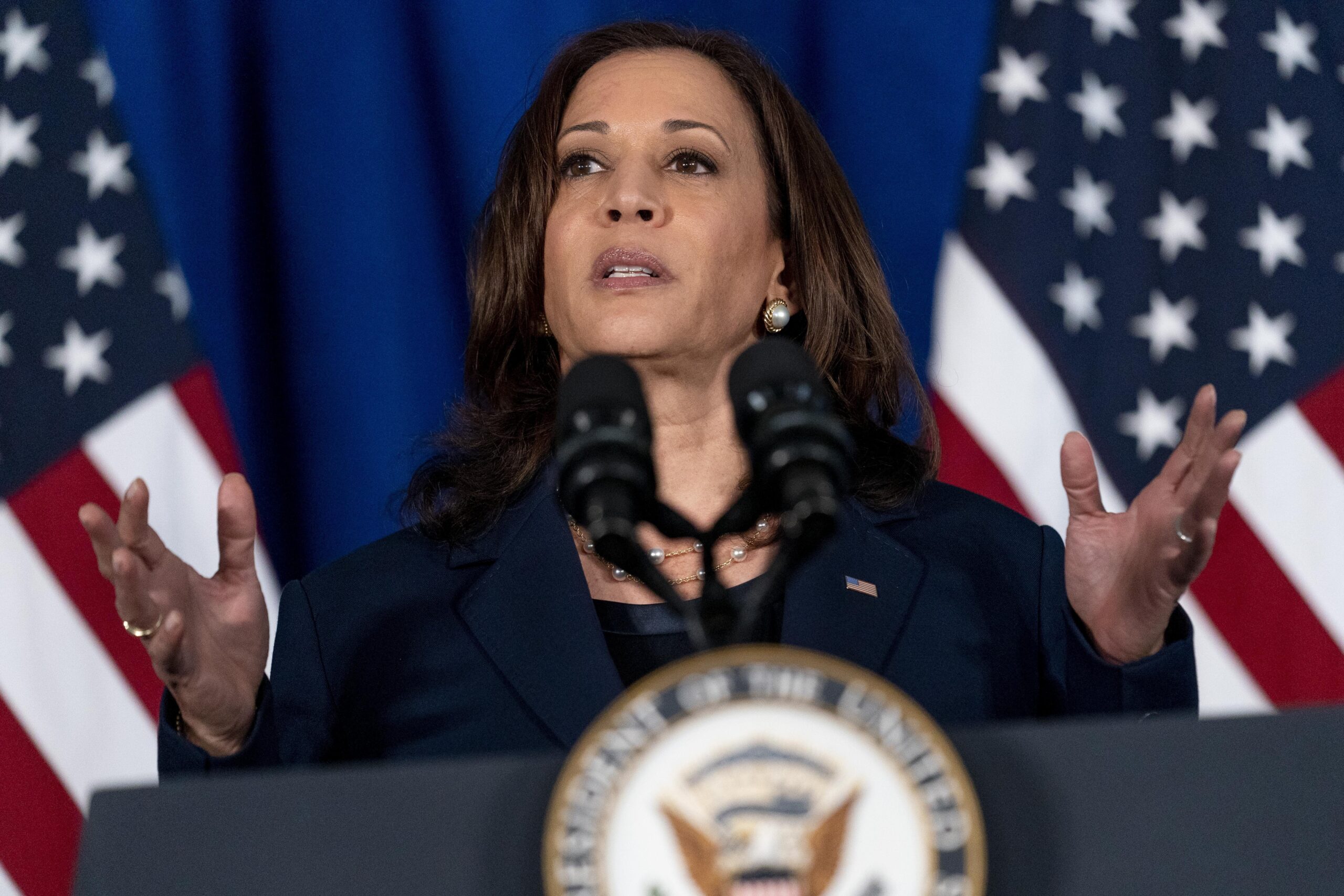 Harris jabs GOP voting laws, saying they make it ‘harder for Americans to vote’