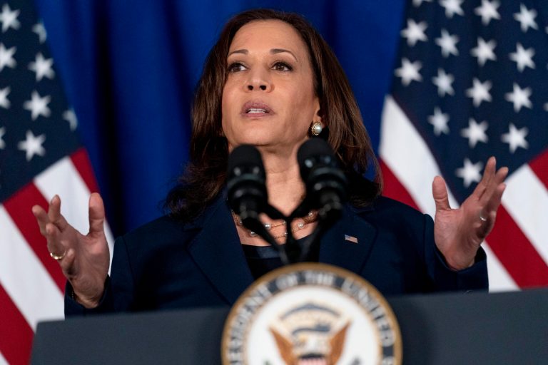 Harris jabs GOP voting laws, saying they make it ‘harder for Americans to vote’
