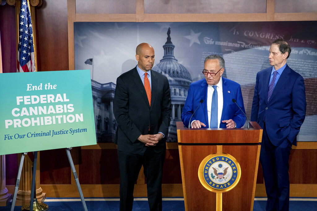 Senate Marijuana Bill