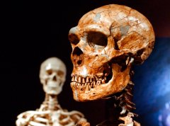 Activists question labeling human remains by gender