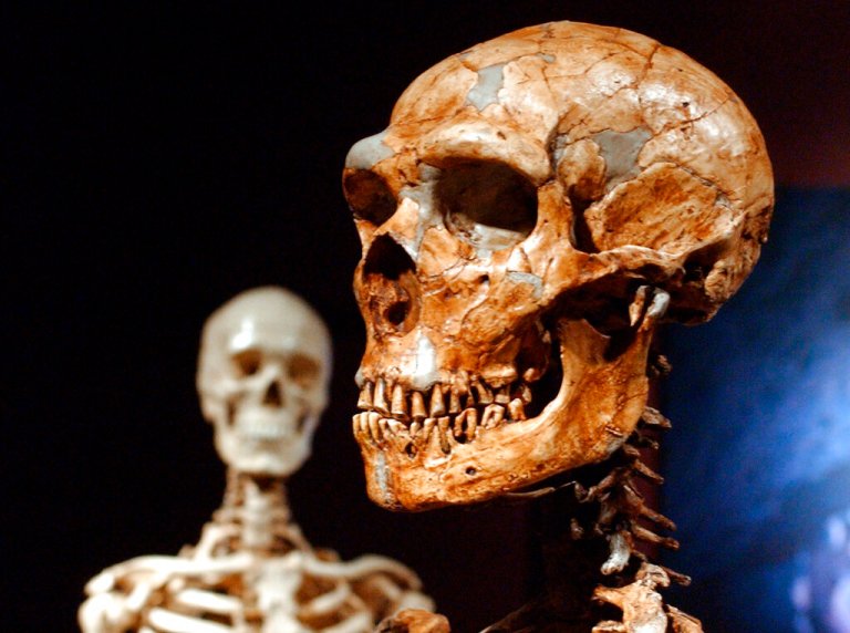 Activists question labeling human remains by gender