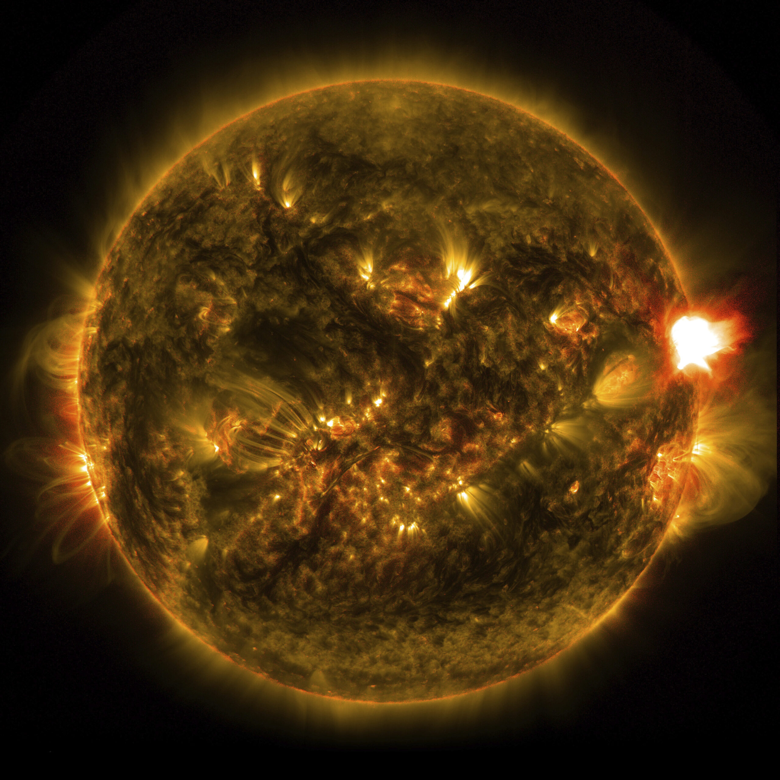 WATCH: Sun spews plasma cloud in giant solar prominence caught on video