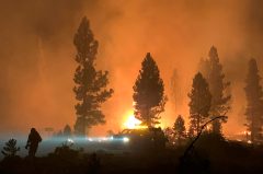 Air quality alerts issued throughout US as West Coast fires rage