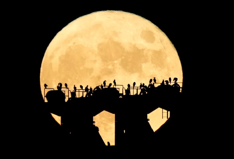 July’s ‘buck’ moon to light up the sky this week