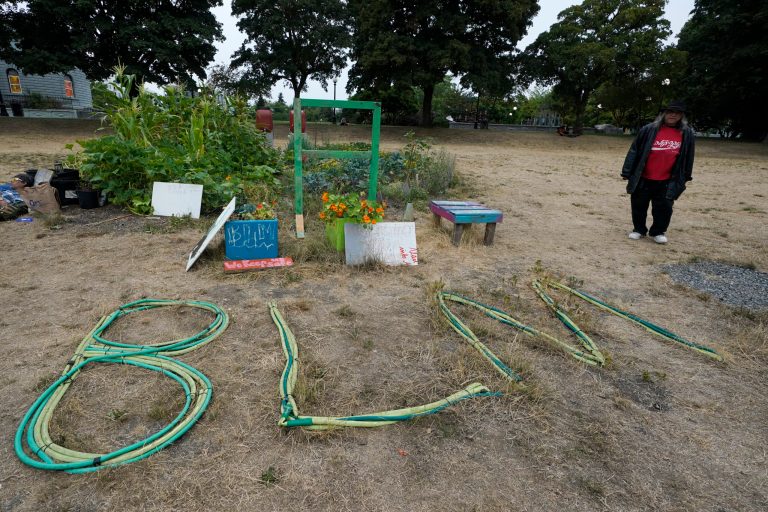 Seattle dismantles BLM garden that attracted homelessness and drug use