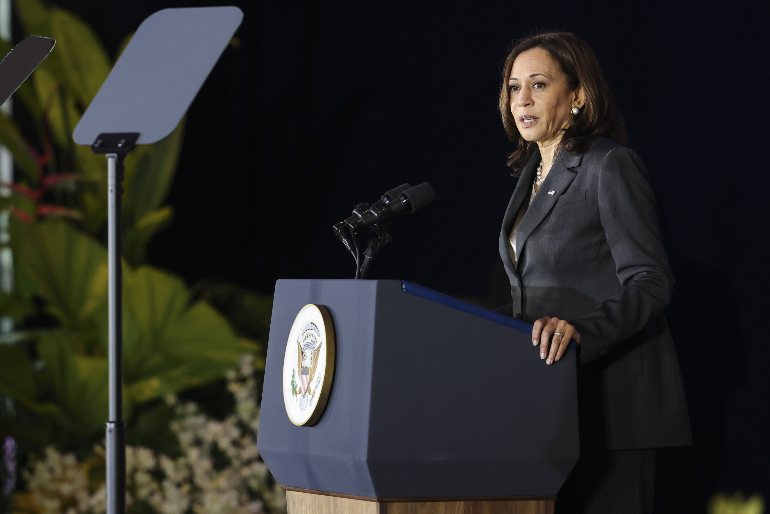 Havana syndrome 2.0? Harris trip to Vietnam delayed by ‘possible anomalous health incident’ in Hanoi