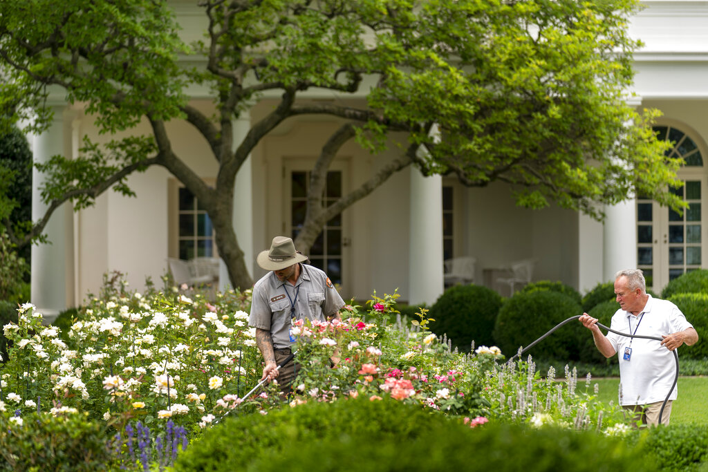 Despite COVID-19, federal workforce grows to nearly 2 million employees