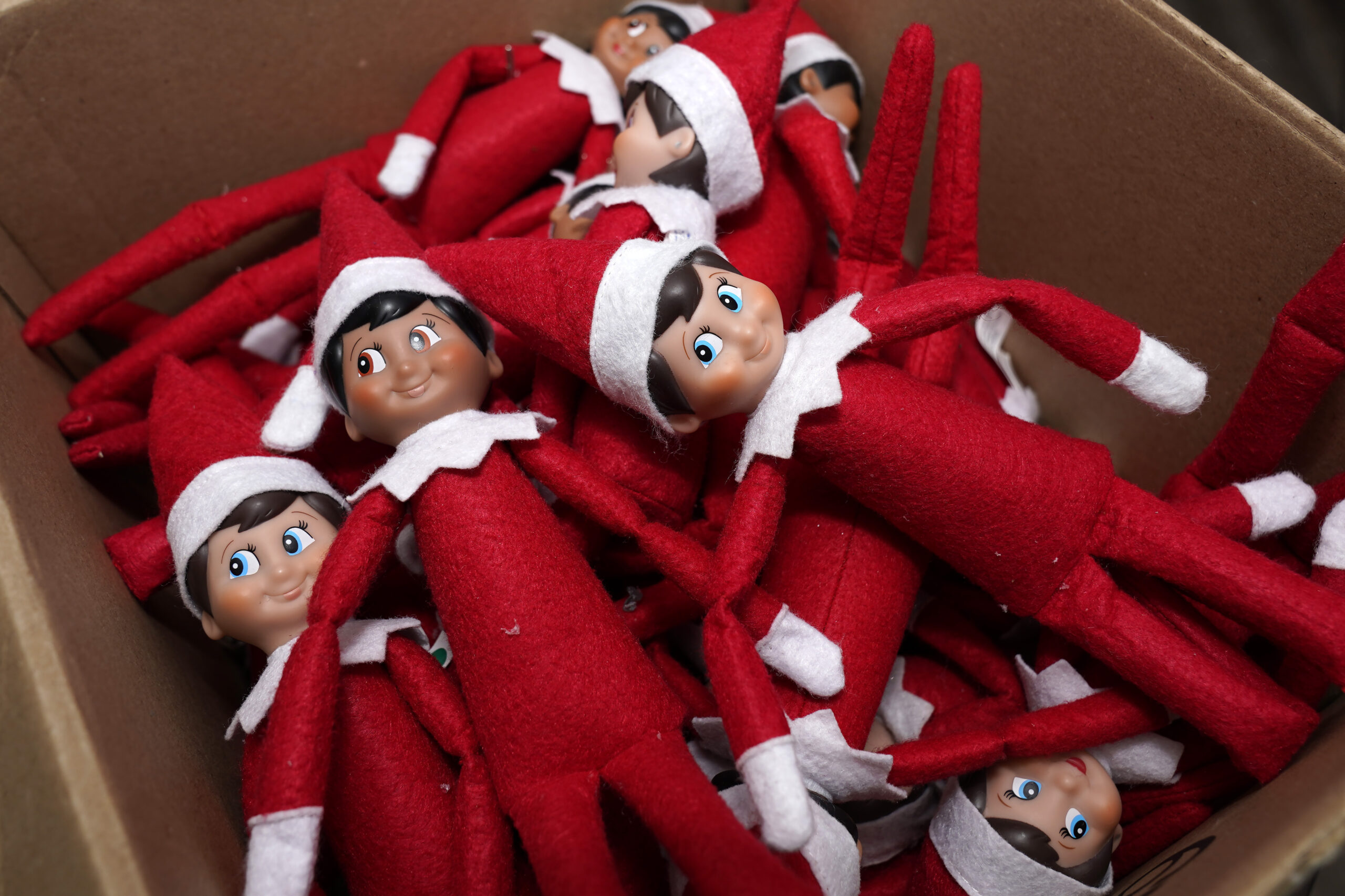 ‘Ranch on a branch’: Hidden Valley sells out of its ‘Elf on the Shelf’ equivalent