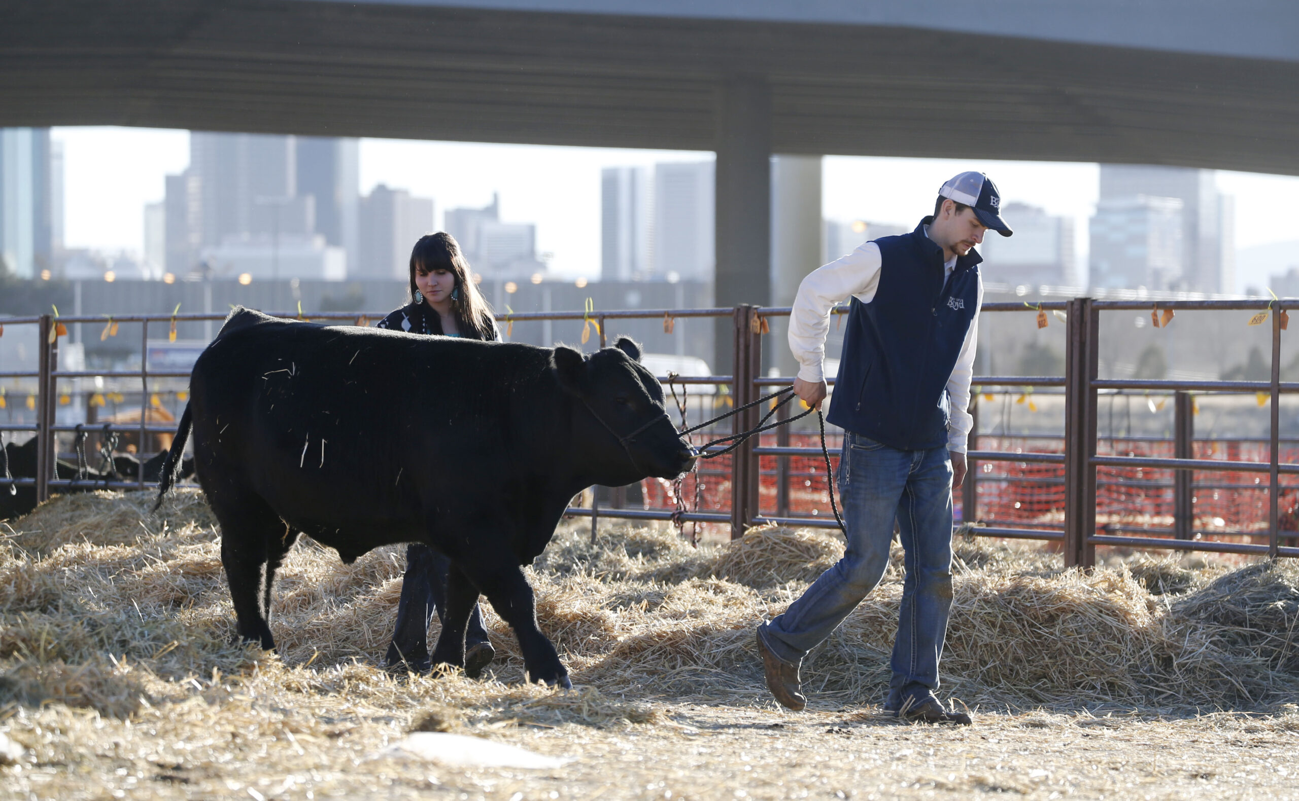 Colorado initiative draws ire of Weld County, agriculture industry