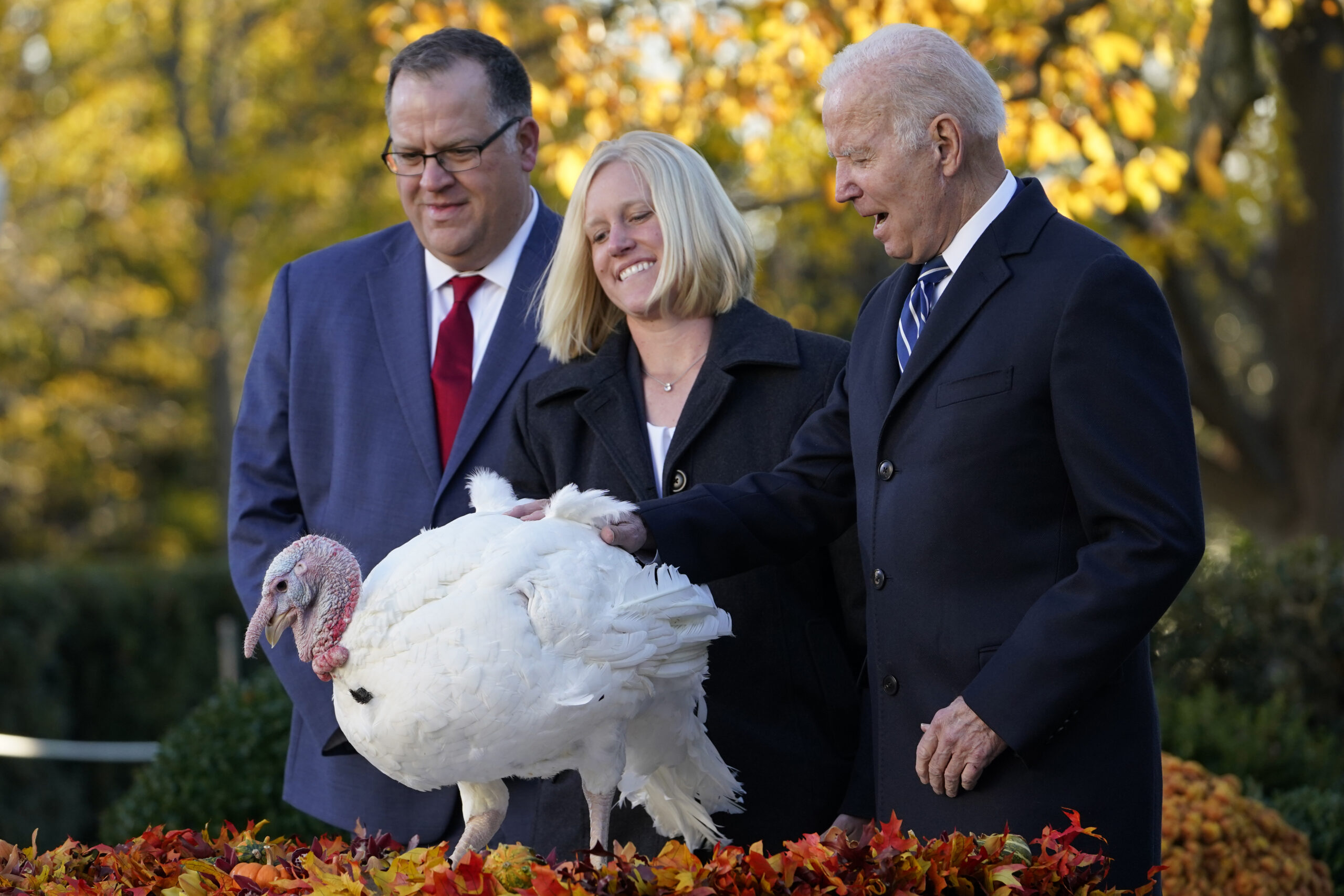 Biden pardons Thanksgiving turkey at the White House