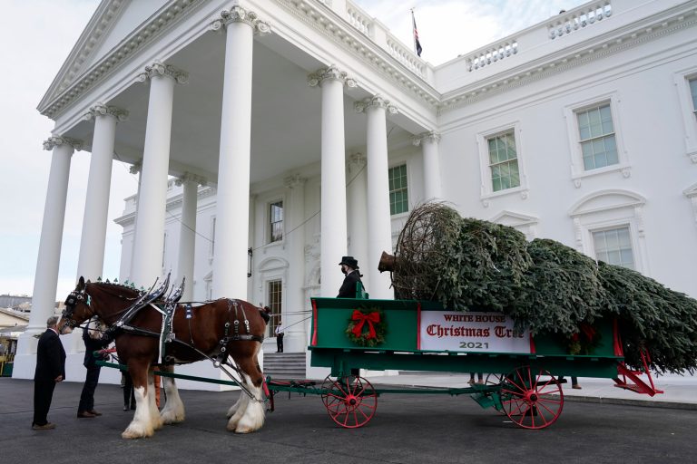 Biden White House cuts back on winter holiday festivities amid pandemic