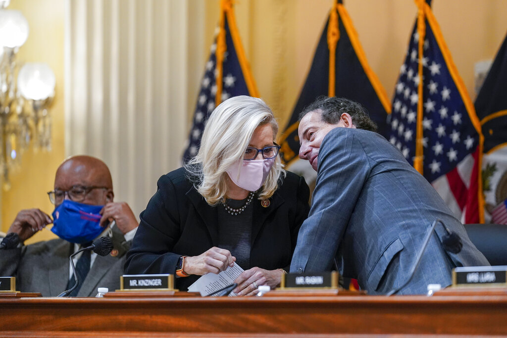 Liz Cheney’s friendship with Democrats has limits