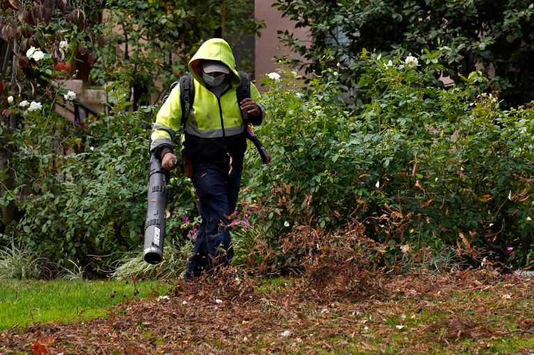 Portland plots ban on gas-powered leaf blowers as green restrictions inch into another city