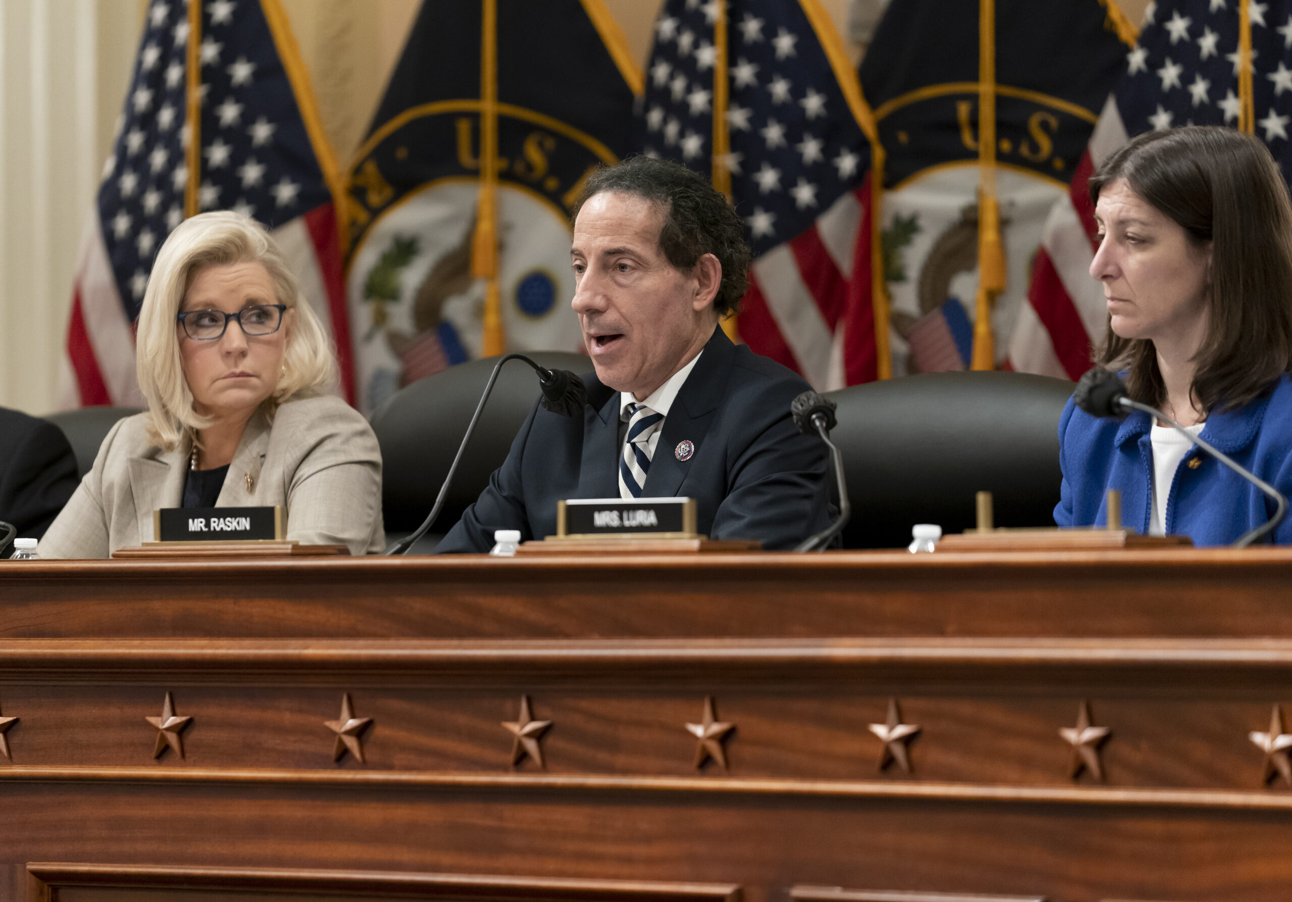 Liz Cheney, Jamie Raskin, Elaine Luria