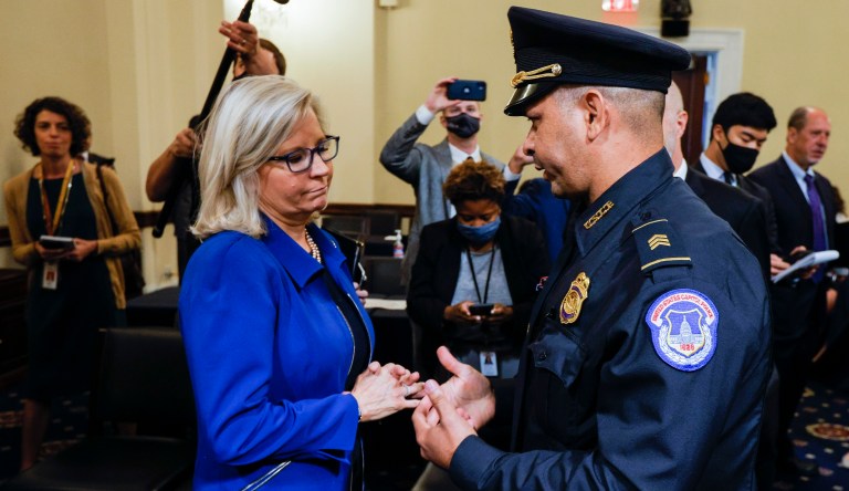 House colleagues’ campaign against Liz Cheney just raises her stature