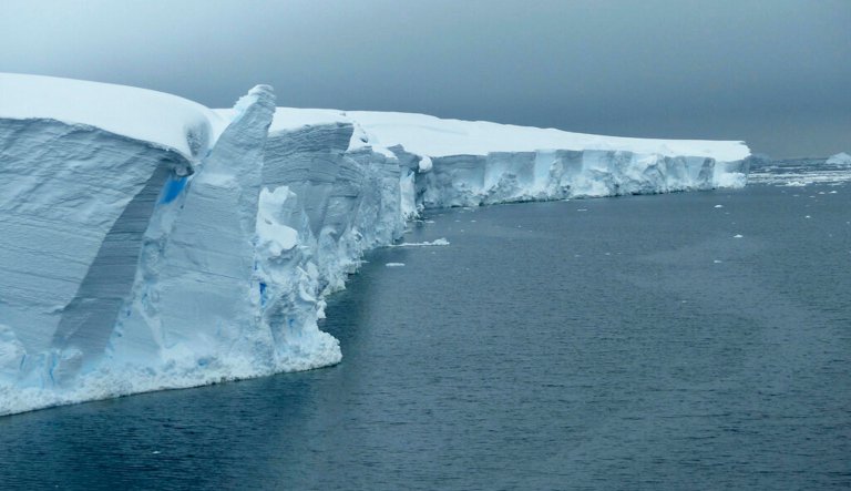 Scientists believe Antarctica’s Weddell Sea holds world’s largest fish nursery