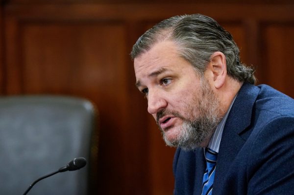Ted Cruz grills FBI on Ray Epps, asks if FBI had informants on Jan. 6