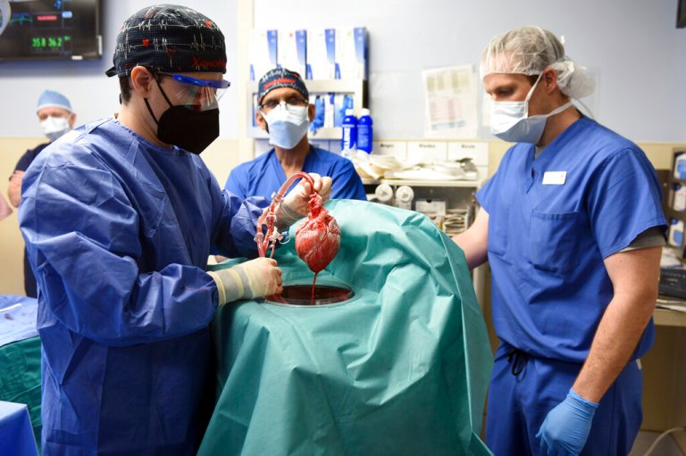 Man receives first-of-its-kind pig heart transplant by US surgeons in last-ditch effort