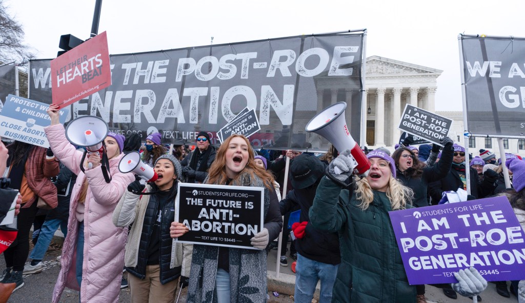 What would the March for Life be in a post-Roe world?