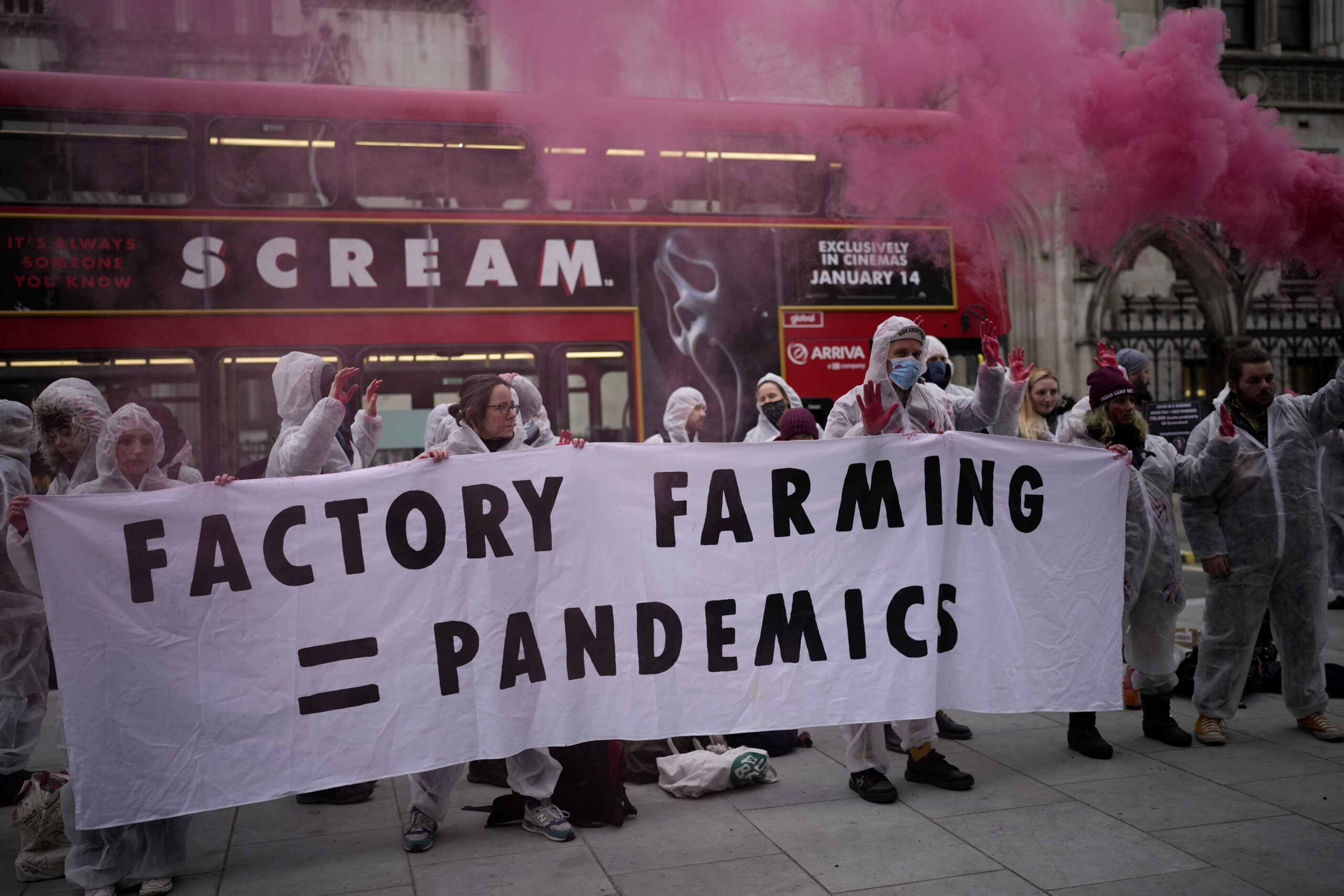 Making hay: Farm animals could get constitutional rights in Switzerland