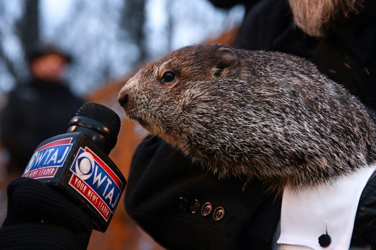 Groundhog Club handler A.J. Dereume holds Punxsutawney Phil, the weather prognosticating groundhog, during the 136th celebration of Groundhog Day on Gobbler's Knob in Punxsutawney, Pa., Wednesday, Feb. 2, 2022. (AP Photo/Barry Reeger)