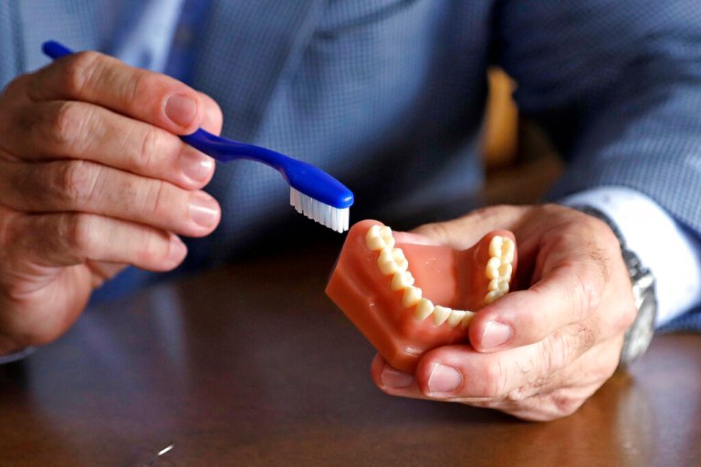 A dentist holds a model of teeth and a toothbrush in Seattle on Friday, Aug. 3, 2018. 