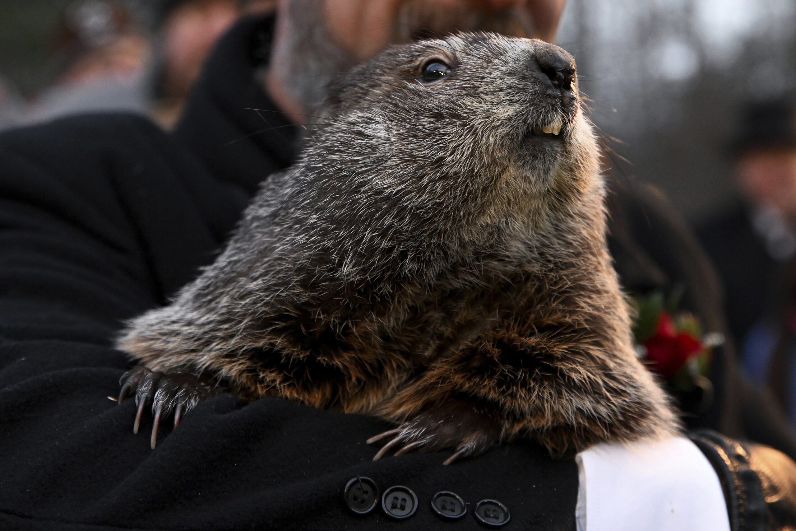Groundhog Day