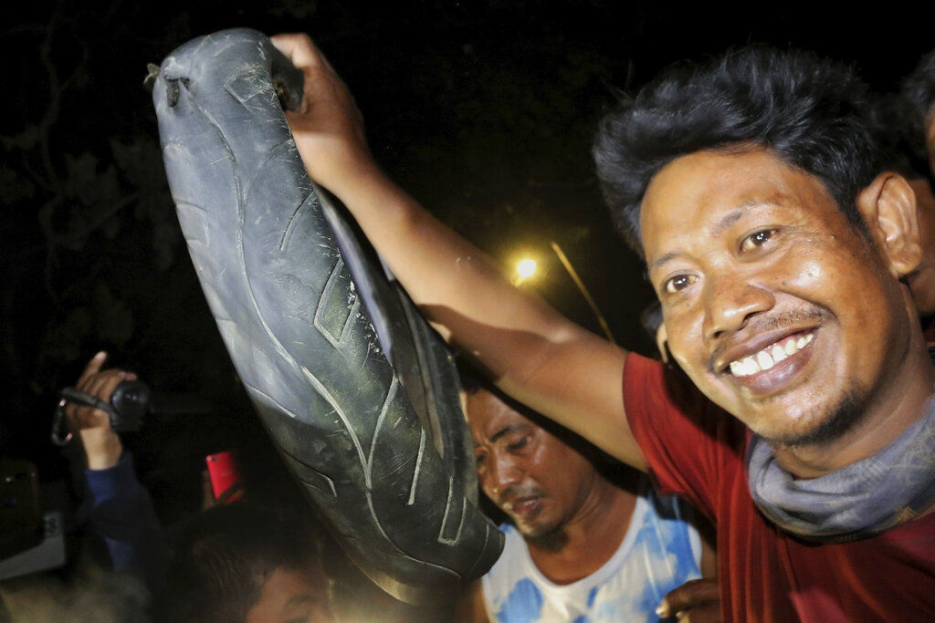 Indonesia Crocodile