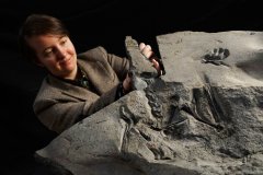 170-million-year-old pterodactyl skeleton found in Scotland