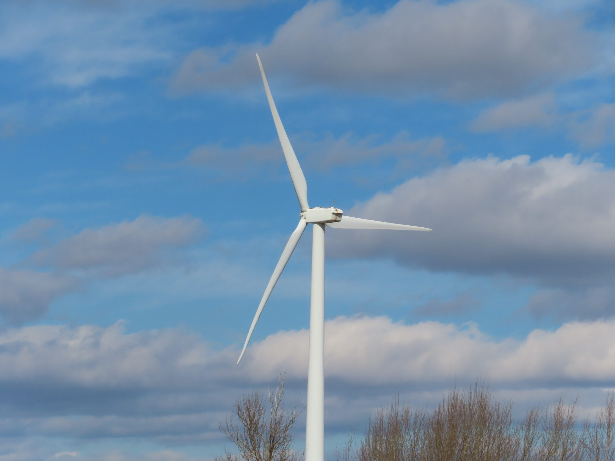 Interior proposes Pacific’s first offshore wind sale off California coast