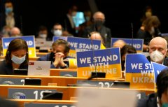 European Parliament calls for Ukraine to become candidate for EU membership