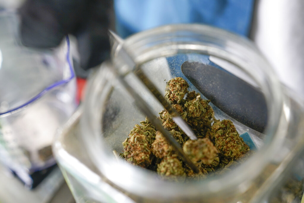 High school: University of Toledo hosts first cannabis symposium