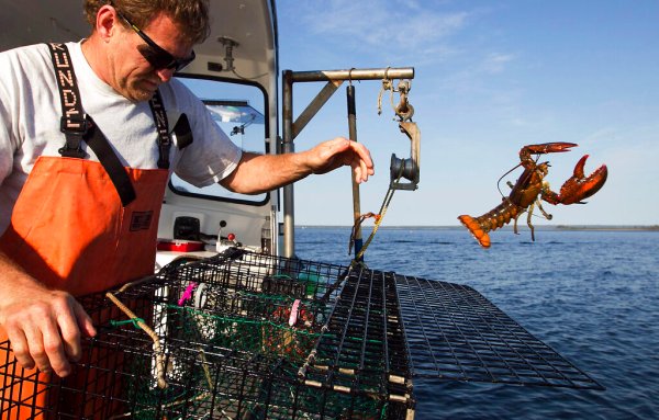 Fish sticks, butter poached lobster, and controversy at Biden state dinner