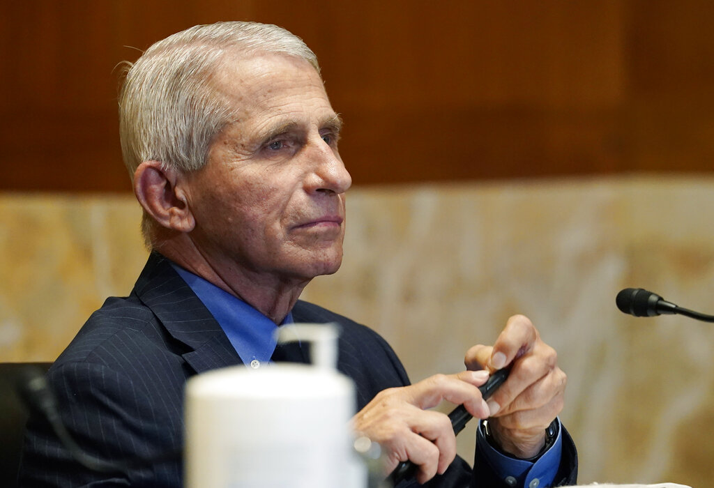 Fauci cancels $1.8 million drug testing on beagle puppies