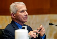 Fauci cancels $1.8 million drug testing on beagle puppies