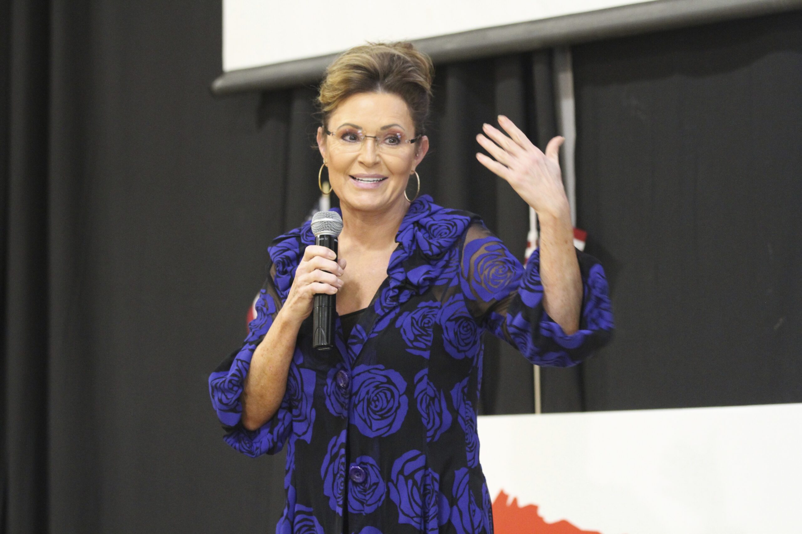 ‘He’s young’: Palin calls on DeSantis to sit out 2024 and stay governor