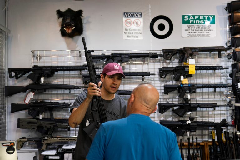 No pause in gun sales, record 48 million over four years