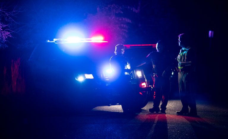 Minnesota mother drowned children before killing herself, police say