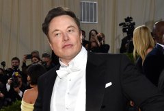 Elon Musk to build private airport in Austin: Report