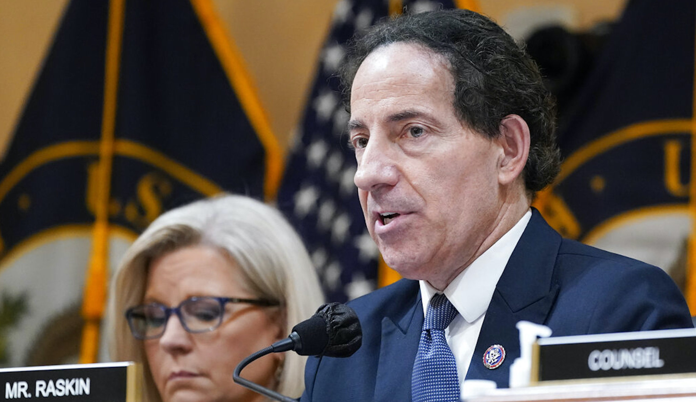 Jamie Raskin,Liz Cheney