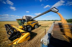 Grain shipments continue to leave Black Sea after Russia withdraws from deal