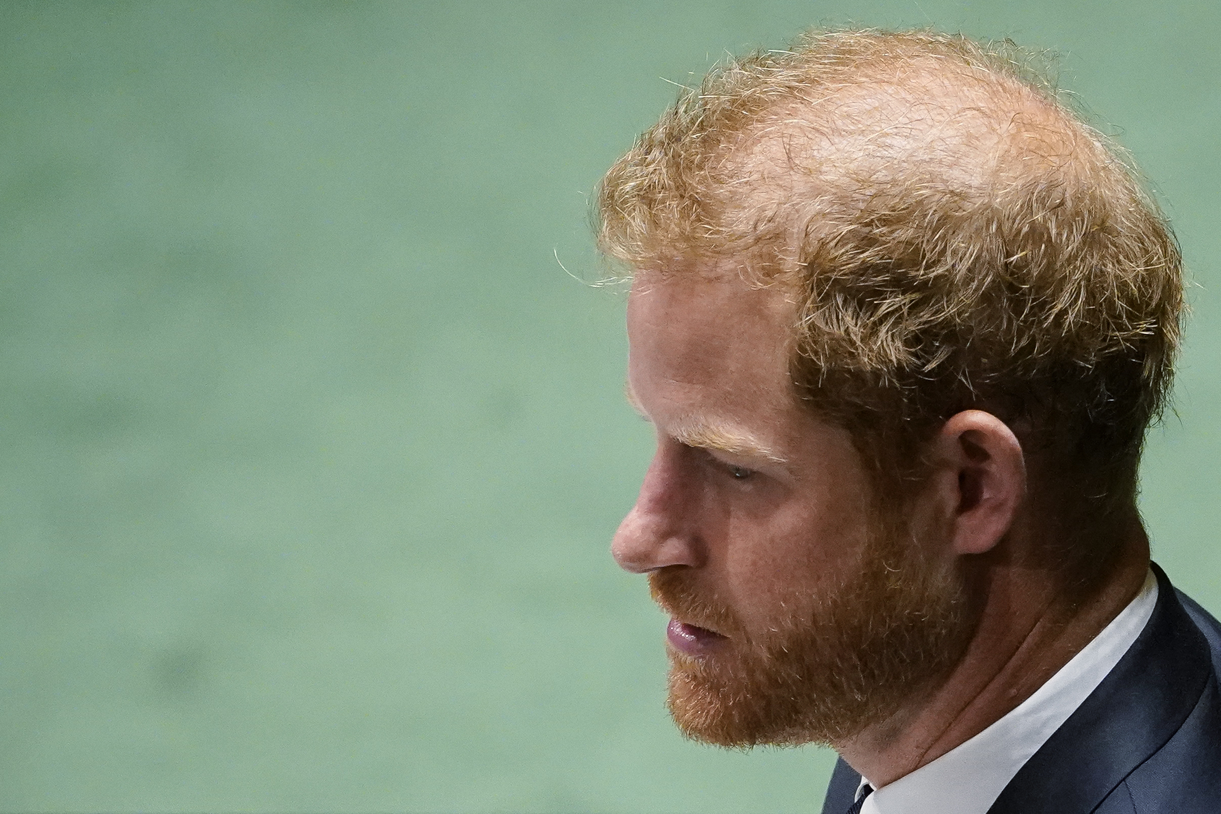 United Nations Prince Harry Mandela Day
