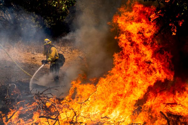 California forest fire burns out of control near Yosemite