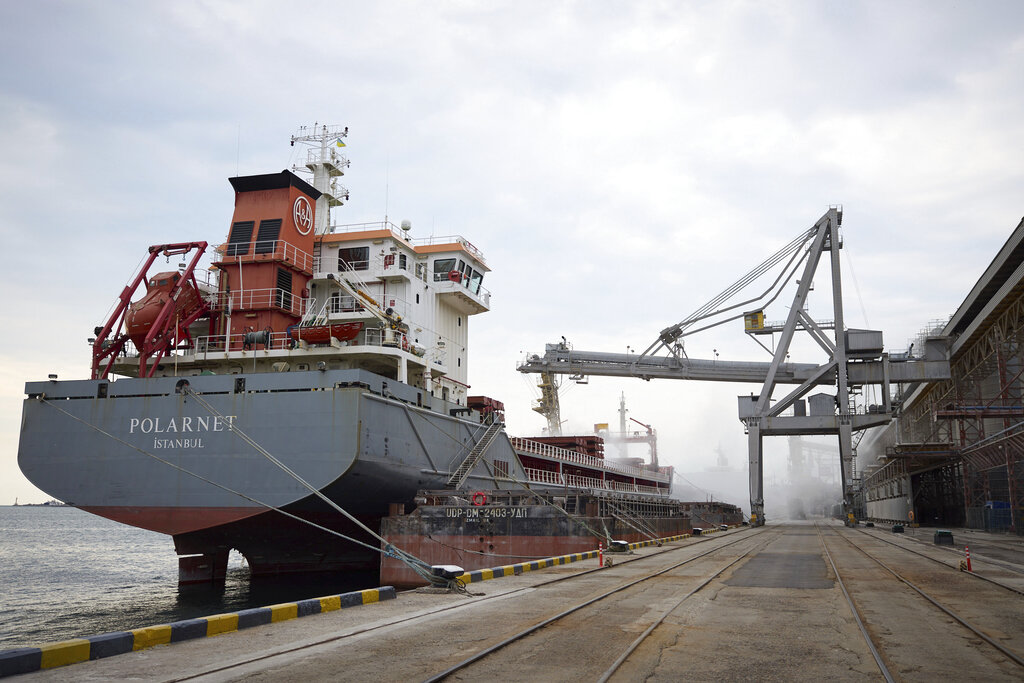 First ship carrying Ukrainian grain leaves port under July deal