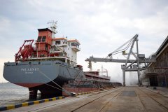 First ship carrying Ukrainian grain leaves port under July deal