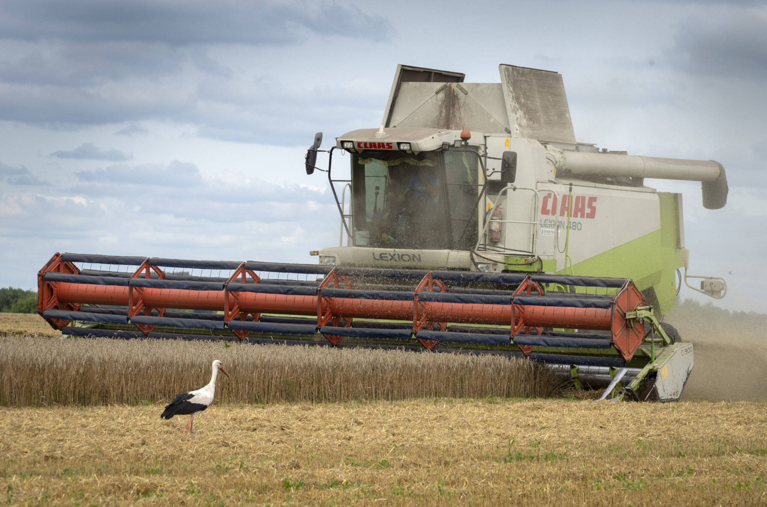 Ukraine has shipped over 600,000 tons of grain since port deal: Turkish officials