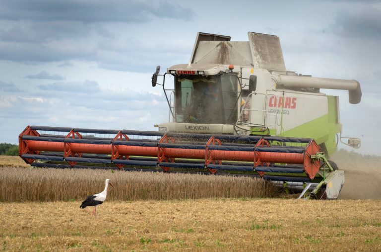 Ukraine has shipped over 600,000 tons of grain since port deal: Turkish officials