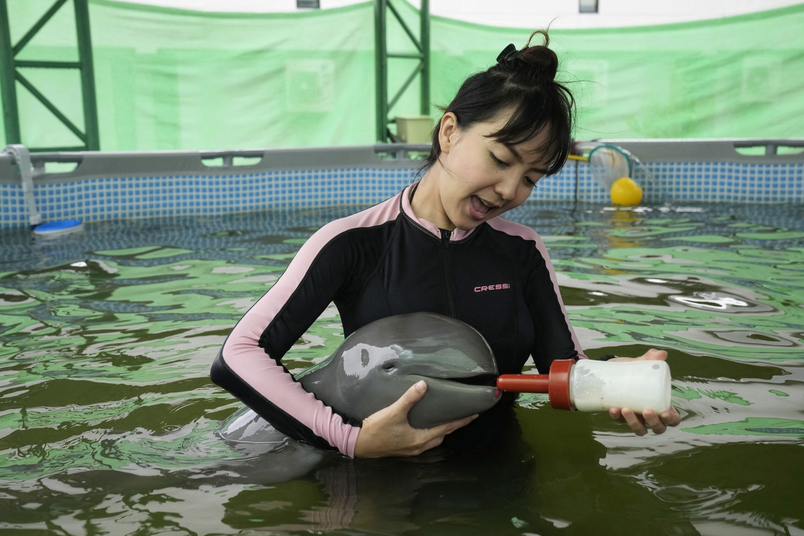 SEE IT: Sick baby dolphin recovers thanks to volunteers tube-feeding it milk